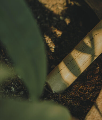 discos de carvão vegetal