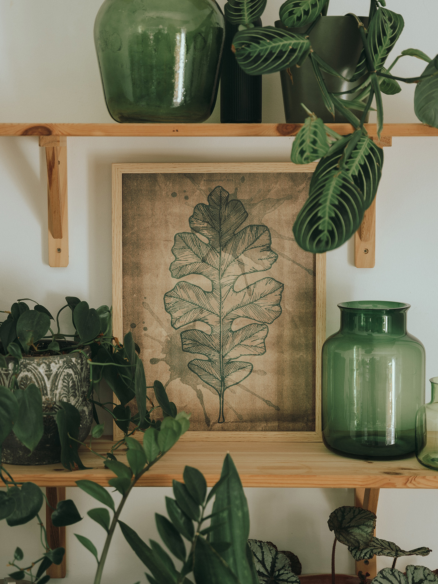 evolucionismo-decor-site