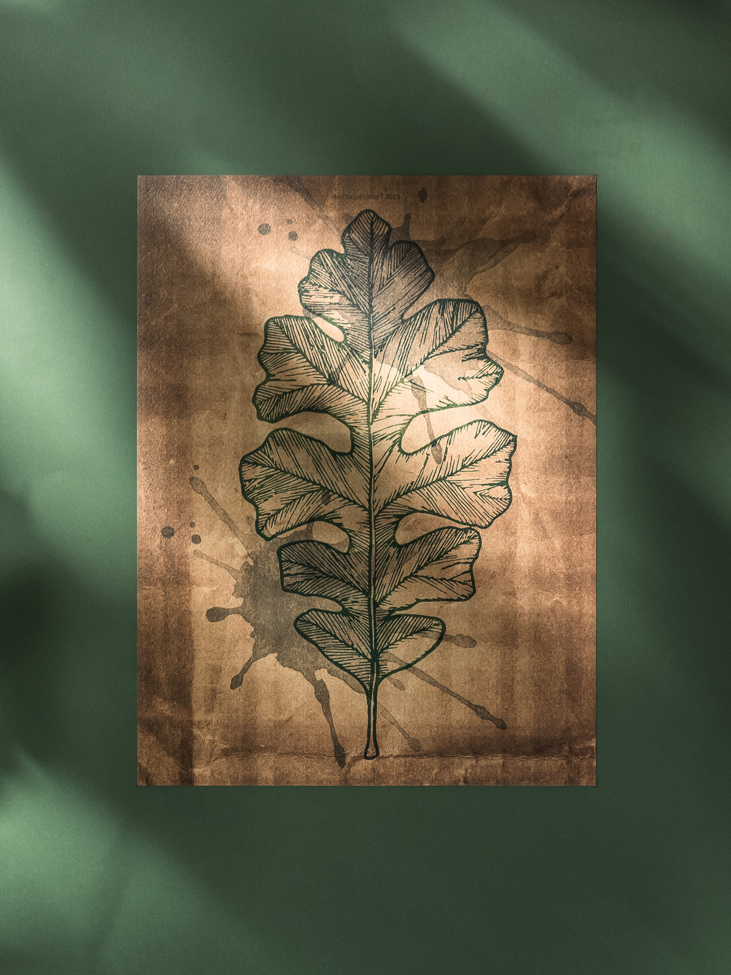 evolucionismo-produto-site