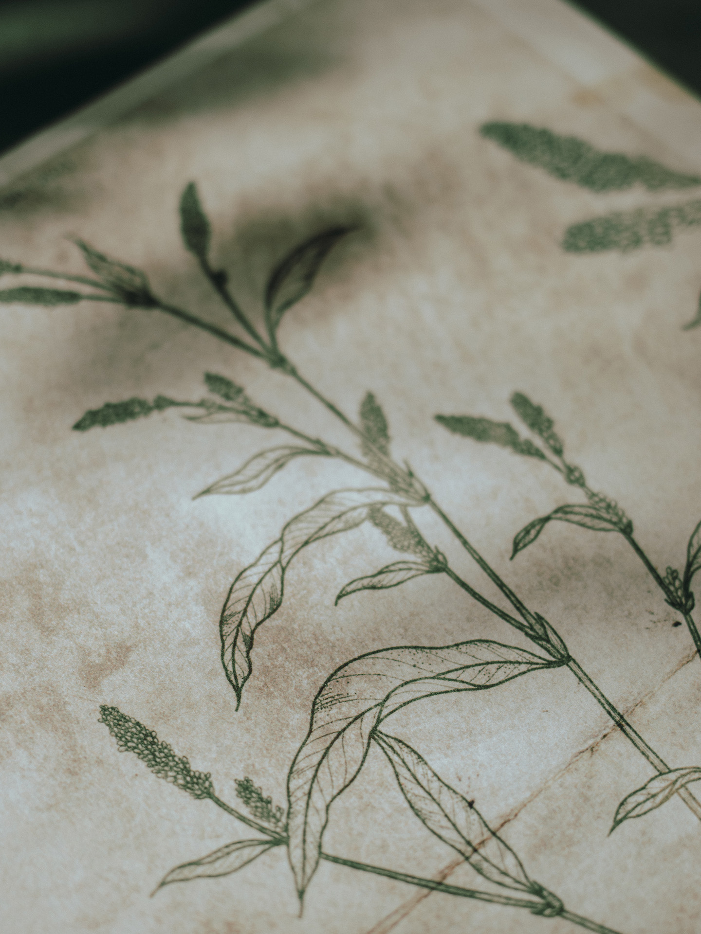 inclusao-perspetiva-site-3