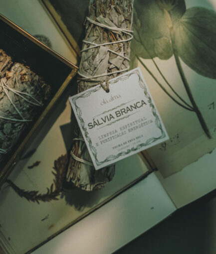 tocha | sálvia branca